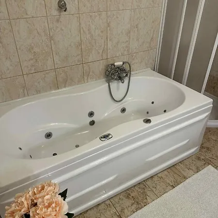 Videki Vendeghaz ヴィラ *