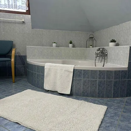 ヴィラ Videki Vendeghaz *