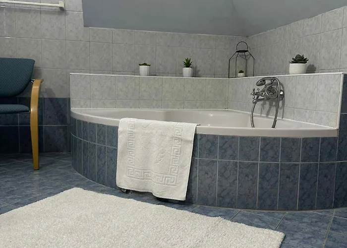 Vilă Videki Vendeghaz *